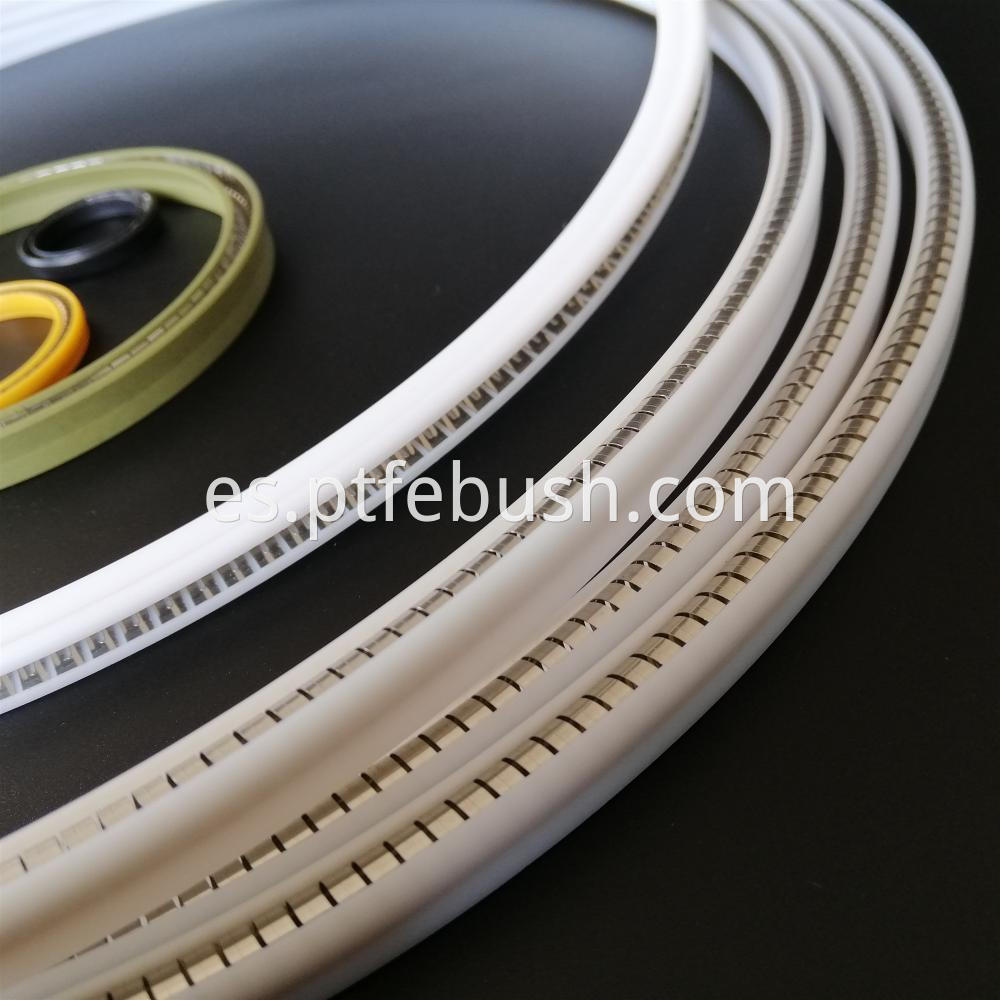 Big Spring Energized Seal